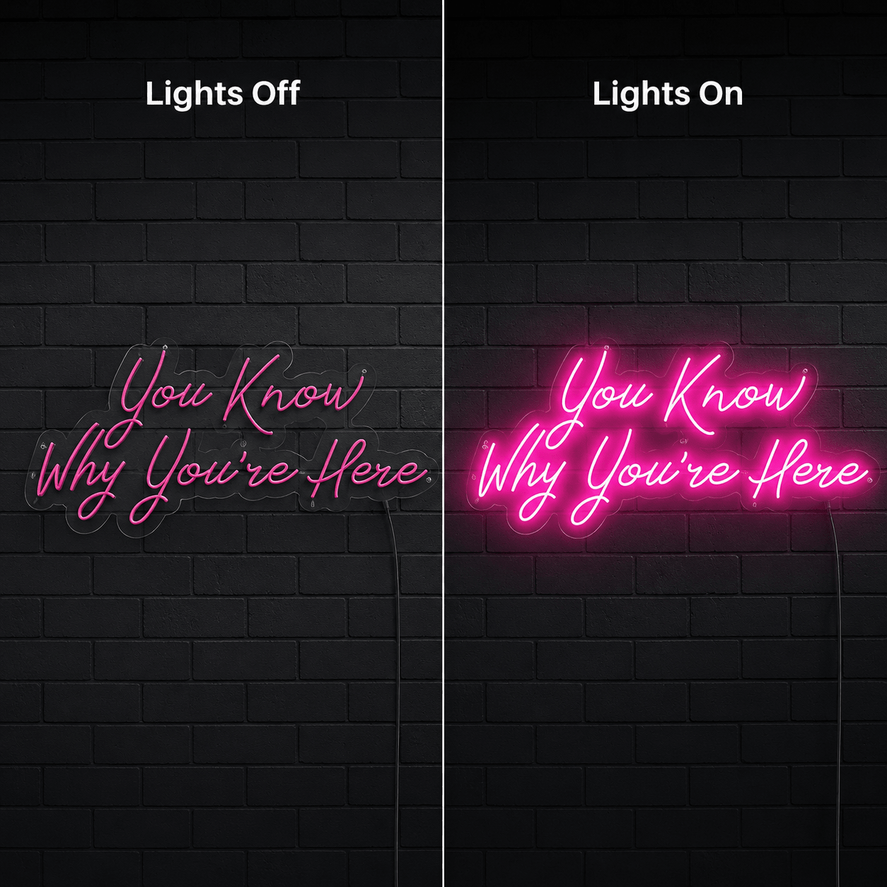 You Know Why You're Here LED Neon Sign - Shineneon
