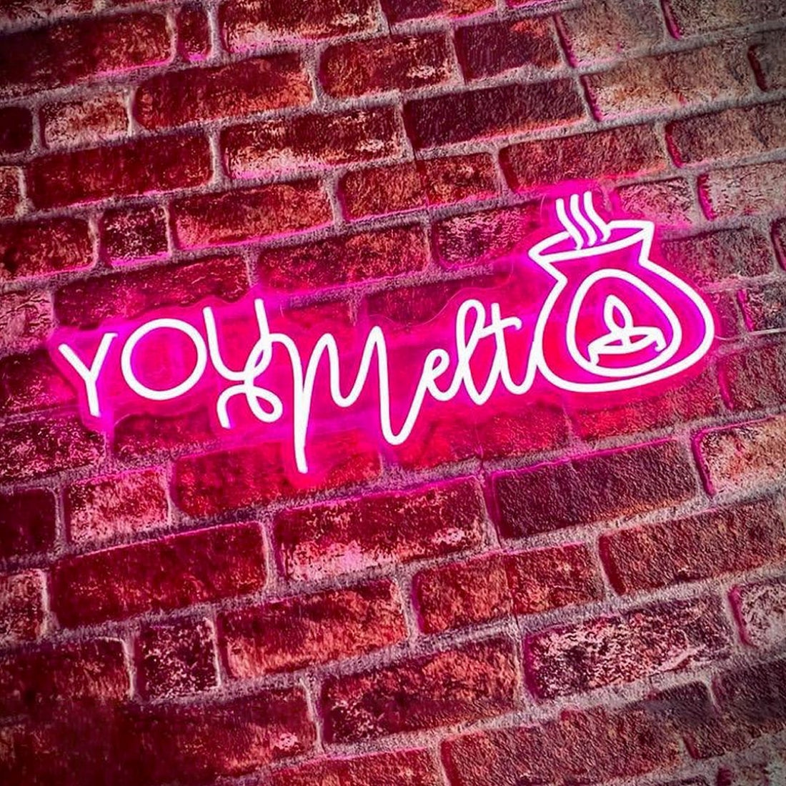You Melt Neon Signs Neon Lights Led Neon Signs
