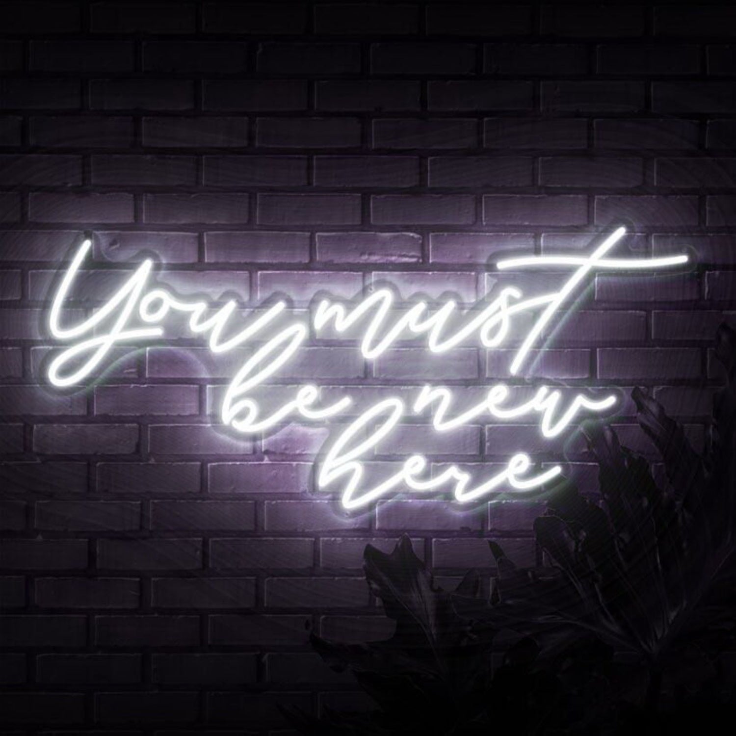 You Must Be New Here Led Neon Sign - Shineneon