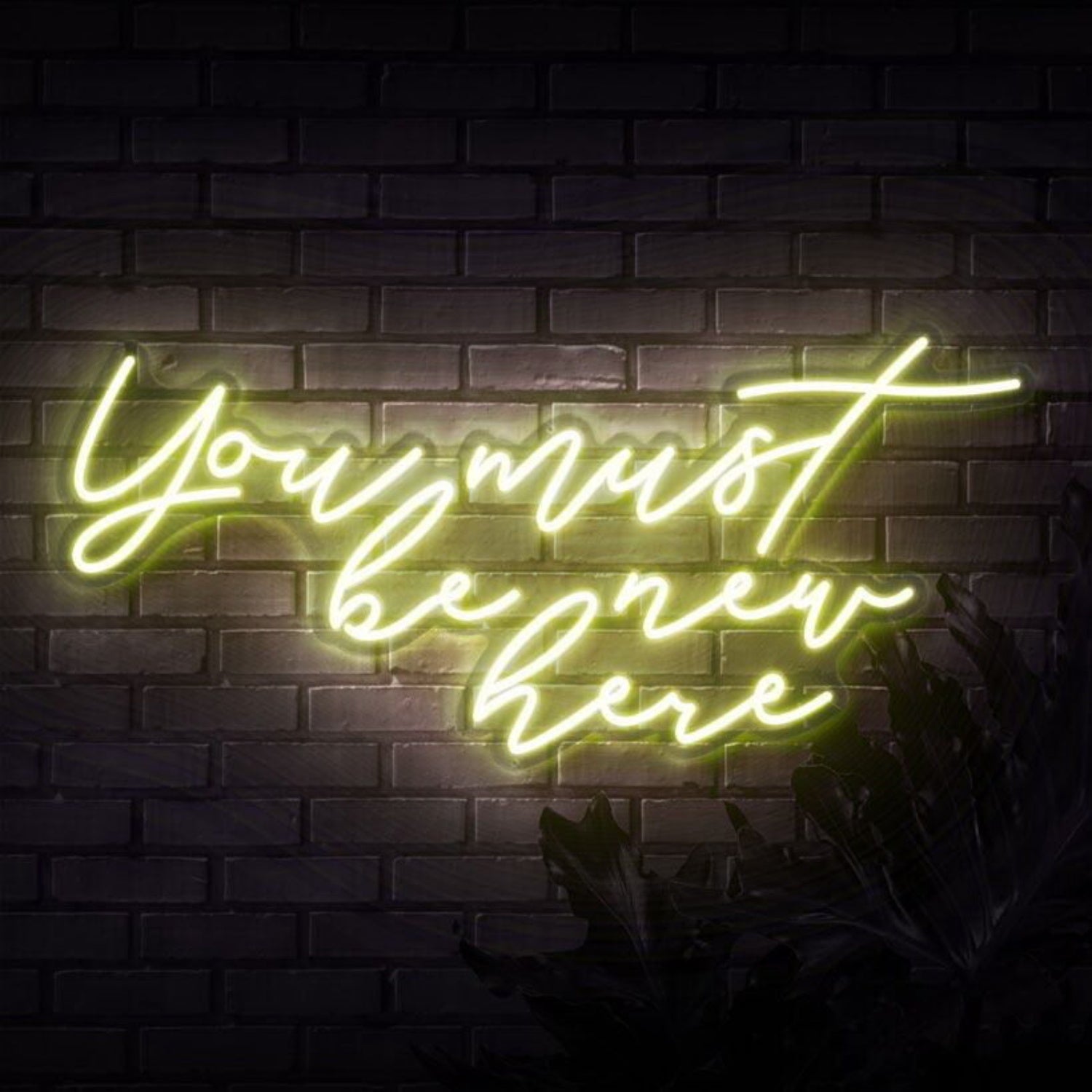 You Must Be New Here Led Neon Sign - Shineneon