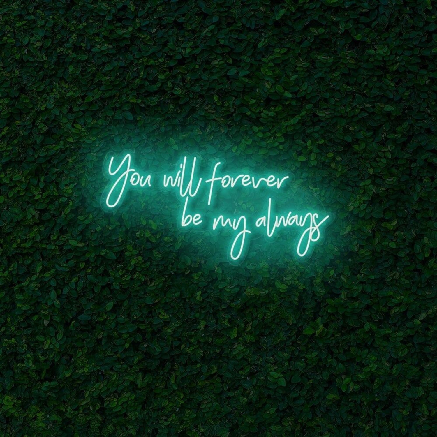 You Will Forever Be My Always Led Neon Sign | Shineneon