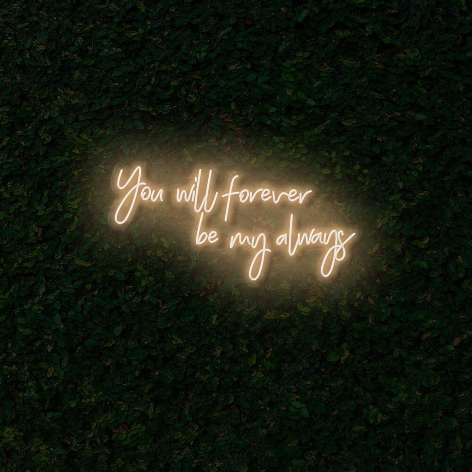 You Will Forever Be My Always Led Neon Sign | Shineneon