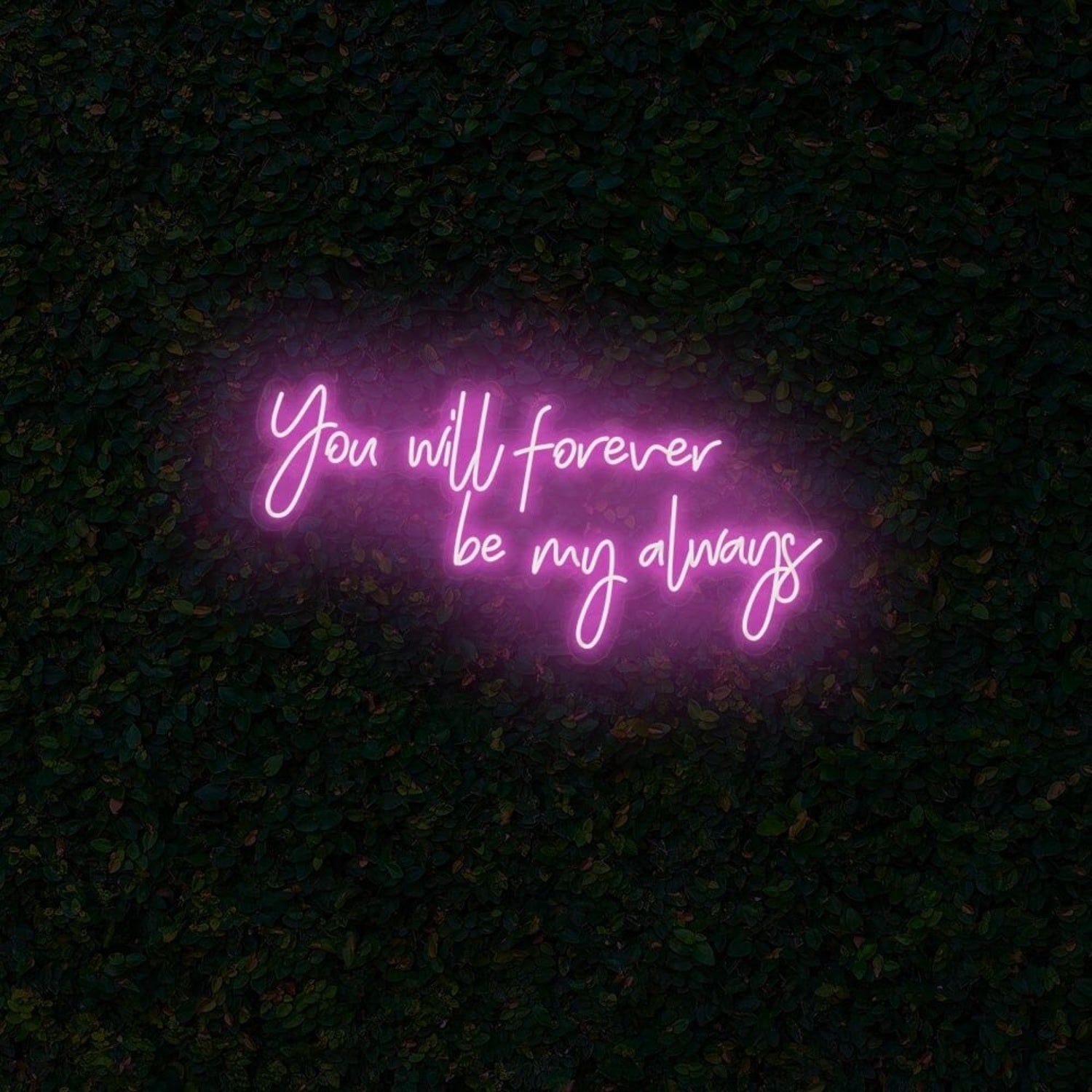 You Will Forever Be My Always Led Neon Sign | Shineneon