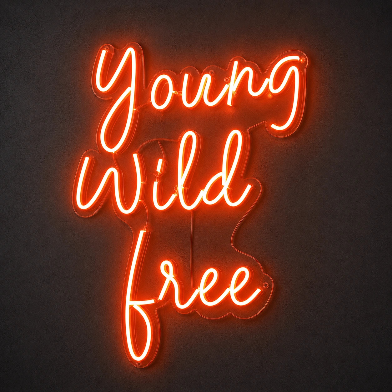 Young Wild Free LED Neon Sign main product image